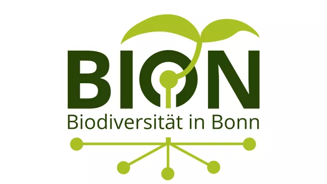 bion-banner.jpg