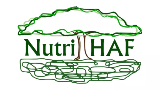 Logo Forschungsprojekt NutriHAF