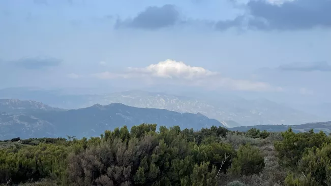 Naturschutzgebiet auf Sardinien © Angela Turck (DE)